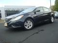 Pacific Blue Pearl - Sonata GLS Photo No. 2