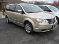 White Gold 2010 Chrysler Town & Country Touring Exterior