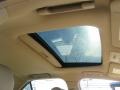 Sunroof of 2008 STS V8