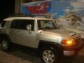 Titanium Metallic - FJ Cruiser  Photo No. 2