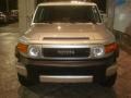 Titanium Metallic - FJ Cruiser  Photo No. 3