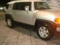 Titanium Metallic - FJ Cruiser  Photo No. 6