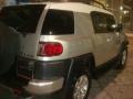 Titanium Metallic - FJ Cruiser  Photo No. 7