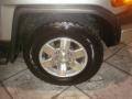 Titanium Metallic - FJ Cruiser  Photo No. 16