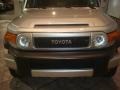 Titanium Metallic - FJ Cruiser  Photo No. 35