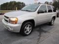 2008 Silverstone Metallic Chevrolet TrailBlazer LT  photo #3