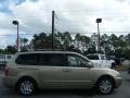 2007 Sunset Gold Kia Sedona EX  photo #6