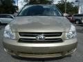 2007 Sunset Gold Kia Sedona EX  photo #8