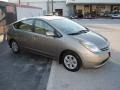 Driftwood Pearl - Prius Hybrid Photo No. 6