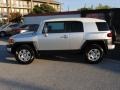 Titanium Metallic - FJ Cruiser  Photo No. 3