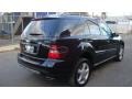 Black - ML 350 4Matic Photo No. 4