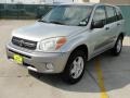 Titanium Metallic - RAV4  Photo No. 7