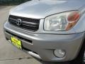 Titanium Metallic - RAV4  Photo No. 12