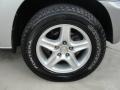 Titanium Metallic - RAV4  Photo No. 16