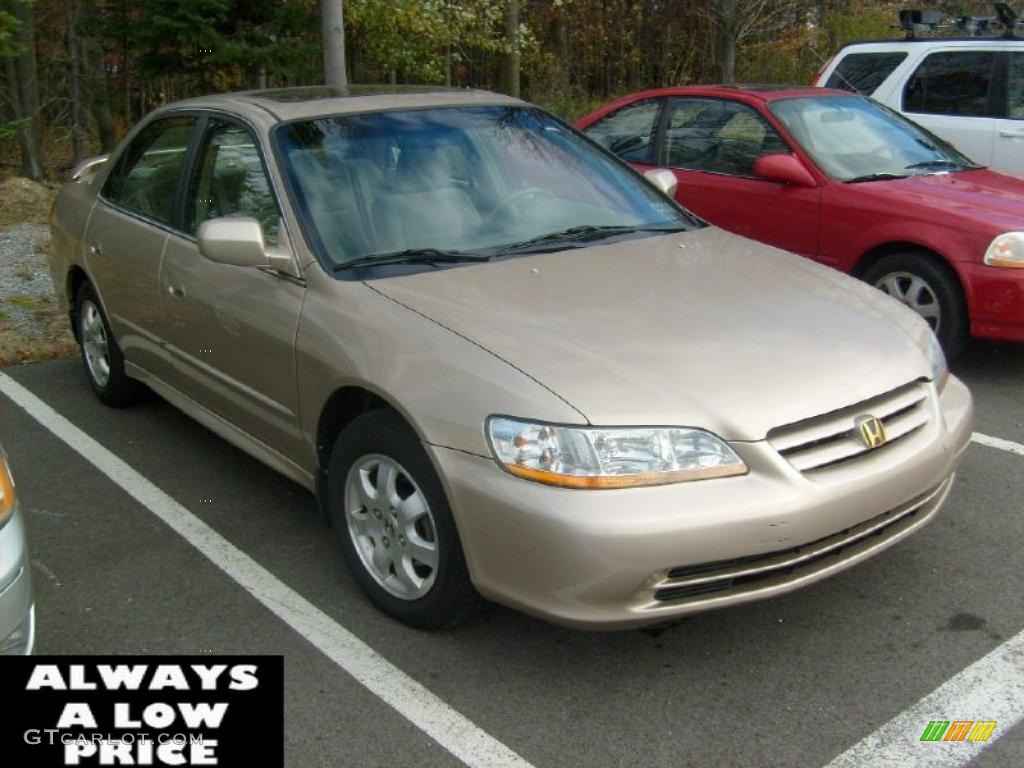 2002 Accord EX Sedan - Naples Gold Metallic / Ivory photo #1