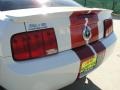 2007 Performance White Ford Mustang V6 Deluxe Coupe  photo #19