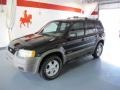 2002 Black Clearcoat Ford Escape XLT V6  photo #1