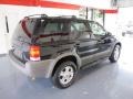 2002 Black Clearcoat Ford Escape XLT V6  photo #4