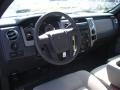 2010 Blue Flame Metallic Ford F150 XLT Regular Cab  photo #6