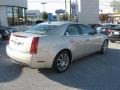 Gold Mist - CTS Sedan Photo No. 6