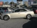 Gold Mist - CTS Sedan Photo No. 9