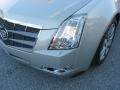 Gold Mist - CTS Sedan Photo No. 41