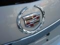 Gold Mist - CTS Sedan Photo No. 45