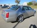 Light Platinum - DeVille Sedan Photo No. 7