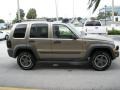 Light Khaki Metallic - Liberty Renegade Photo No. 5