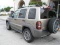 Light Khaki Metallic - Liberty Renegade Photo No. 9