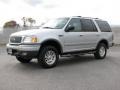 Silver Metallic 2002 Ford Expedition XLT 4x4 Exterior