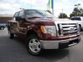 2010 Royal Red Metallic Ford F150 XLT SuperCrew  photo #28