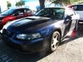 2002 True Blue Metallic Ford Mustang V6 Coupe  photo #4