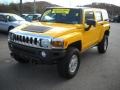 Yellow - H3  Photo No. 18