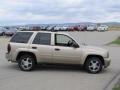 Sandstone Metallic - TrailBlazer LS 4x4 Photo No. 5