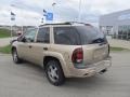 Sandstone Metallic - TrailBlazer LS 4x4 Photo No. 10