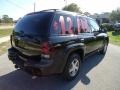 Black - TrailBlazer LS 4x4 Photo No. 12