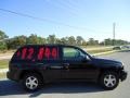 Black - TrailBlazer LS 4x4 Photo No. 13