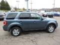 2010 Steel Blue Metallic Ford Escape XLT 4WD  photo #5