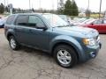 2010 Steel Blue Metallic Ford Escape XLT 4WD  photo #6