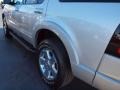 2006 Silver Birch Metallic Ford Explorer Limited 4x4  photo #4