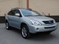 2006 Bamboo Pearl Lexus RX 400h AWD Hybrid  photo #1