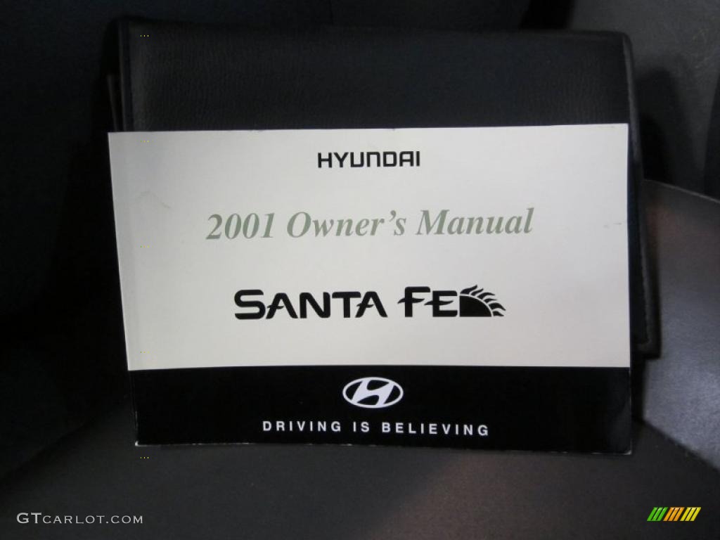 2001 Santa Fe LX V6 4WD - Merlot / Gray photo #24