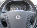 2008 Platinum Sage Hyundai Santa Fe Limited 4WD  photo #28