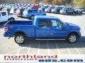 2010 Blue Flame Metallic Ford F150 FX4 SuperCrew 4x4  photo #5