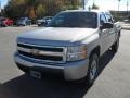 Silver Birch Metallic - Silverado 1500 LS Crew Cab 4x4 Photo No. 6