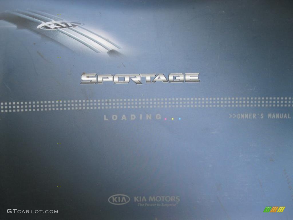 2010 Sportage LX V6 4x4 - Steel Silver / Black photo #29
