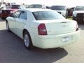 Cool Vanilla White - 300 Touring Photo No. 3