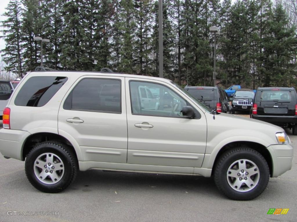 Gold Ash Metallic 2005 Ford Escape Limited 4WD Exterior Photo #38982825