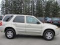 Gold Ash Metallic 2005 Ford Escape Limited 4WD Exterior